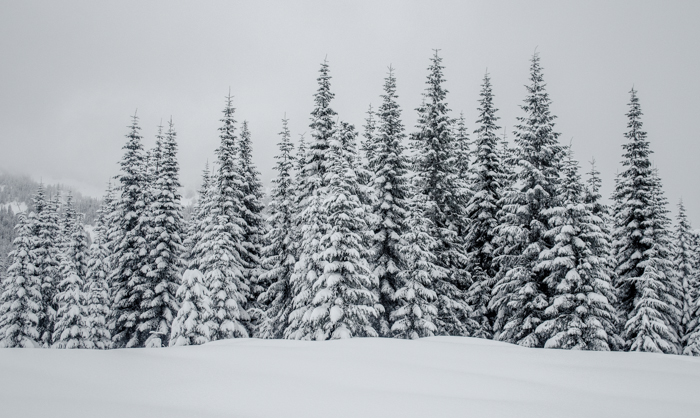 Snowshoe Slumber Party! (Or is it a Snovernight?) - moosefish.com