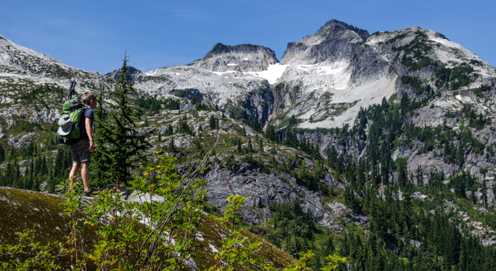 Leadership, flexibility, and bears in the North Cascades National Park ...